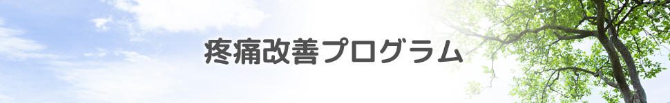 疼痛改善プログラム